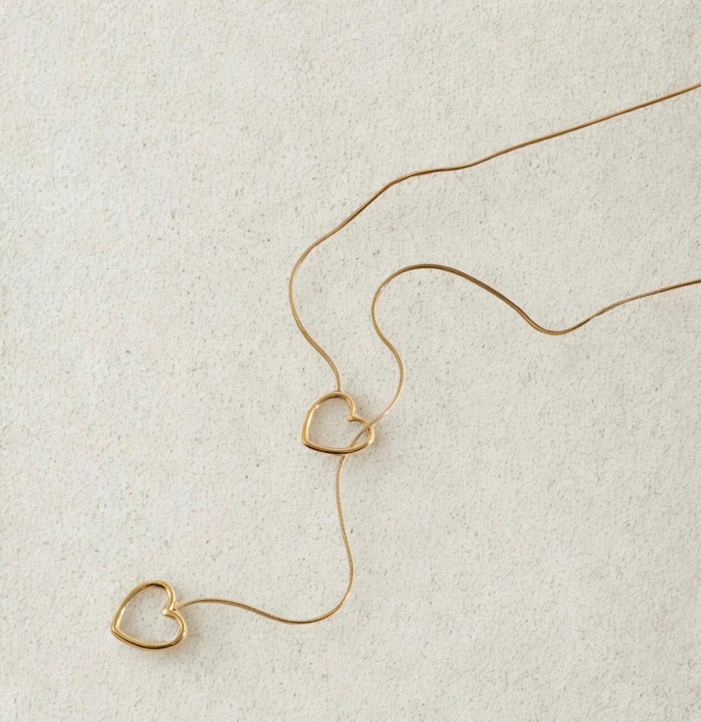 Colliers en acier inoxydable